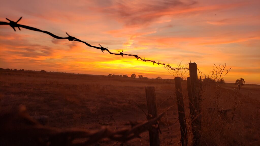 A sunset behind a fence with barbed wire.
